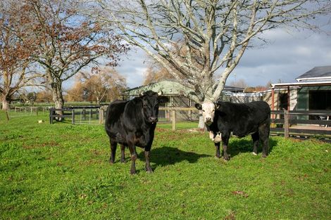 Photo of property in 186 Swayne Road, Cambridge, 3493
