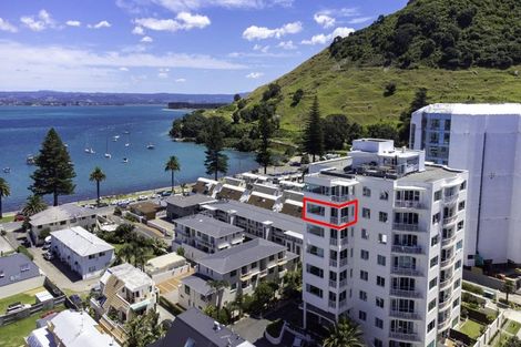 Photo of property in 46/12 Maunganui Road, Mount Maunganui, 3116