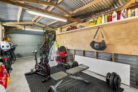 Photo of property in 17 Rimu Street, New Lynn, Auckland, 0600