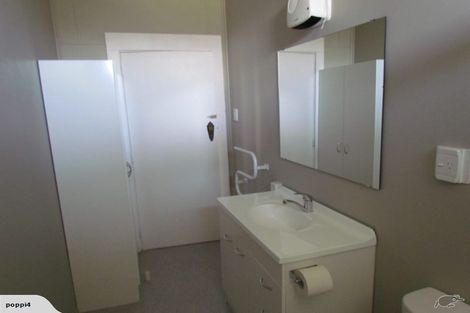 Photo of property in 17 Bidwill Street, Mount Cook, Wellington, 6021