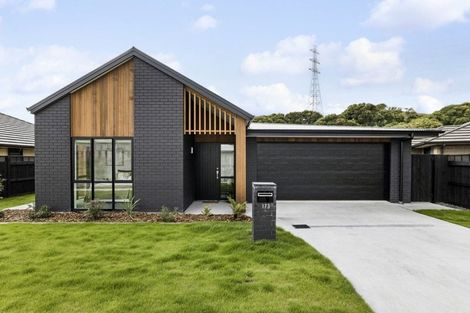 Photo of property in 173 Adler Drive, Ohauiti, Tauranga, 3112