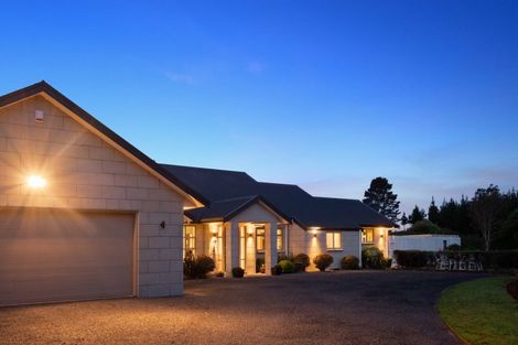 Photo of property in 938 Whakamarama Road, Whakamarama, Tauranga, 3179