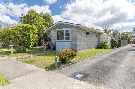 Photo of property in 59 Macarthur Street, Levin, 5510