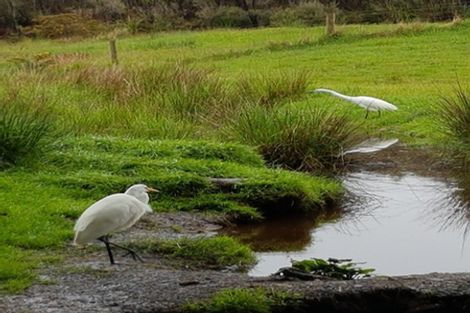 Photo of property in 70 Taramakau Highway, Kumara Junction, Kumara, 7875