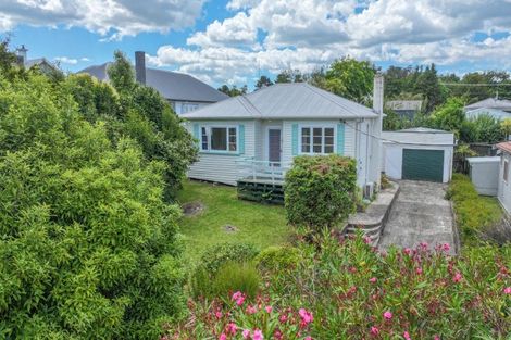 Photo of property in 10 Andrews Street, Paeroa, 3600