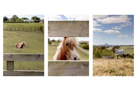 Photo of property in 220a Braemar Road, Manawahe, Whakatane, 3193