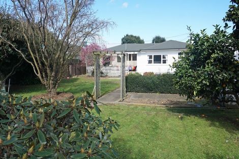 Photo of property in 52 Trafalgar Street, Levin, 5510