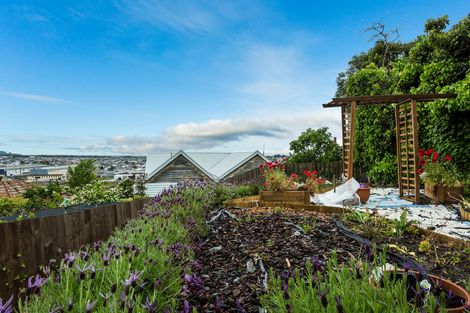 Photo of property in 41 Leckhampton Court, Clyde Hill, Dunedin, 9011