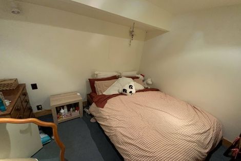 Photo of property in 227/6 Left Bank, Te Aro, Wellington, 6011