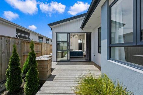 Photo of property in 26 Knightia Drive, Papamoa Beach, Papamoa, 3118