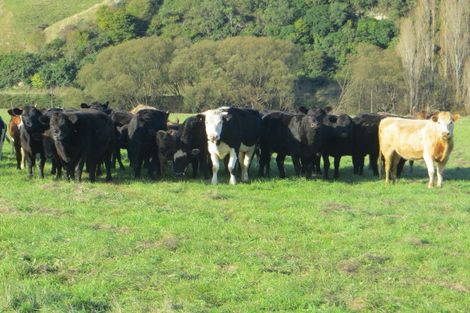 Photo of property in 3245 State Highway 2, Takapau, Waipukurau, 4281
