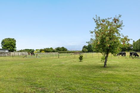 Photo of property in 22 Goulter Street, Clive, Hastings, 4180