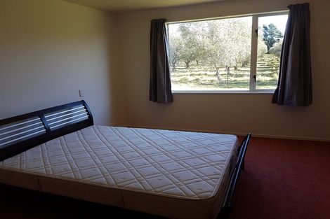 Photo of property in 321p Georges Road, Glasnevin, Amberley, 7482