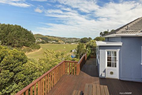 Photo of property in 47 Mccoll Street, Vogeltown, Wellington, 6021
