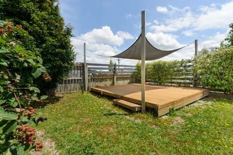 Photo of property in 43 Marlborough Street, Feilding, 4702