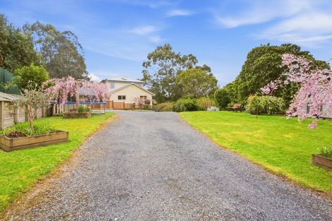 Photo of property in 50 Manchester Street, Bradford, Dunedin, 9011