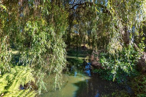 Photo of property in 896 Haruru Road, Wainui, Kaukapakapa, 0873