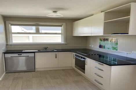 Photo of property in 19 Siddal Place, Richmond, Christchurch, 8013