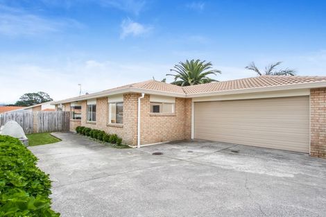 Photo of property in 17 Jelicich Court, Henderson, Auckland, 0612