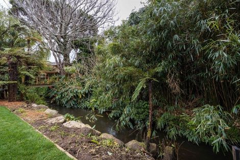Photo of property in 12a Gaine Street, New Plymouth, 4310