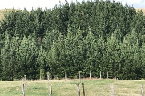 Photo of property in 487 Whangamata Road, Kinloch, Taupo, 3377