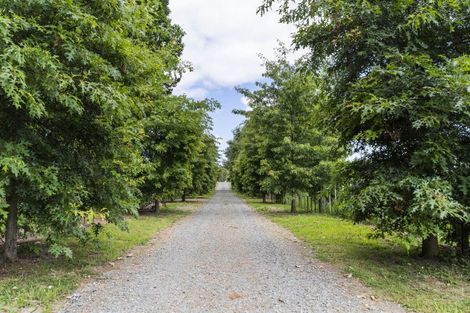 Photo of property in 43 Escott Road, Dairy Flat, Albany, 0794