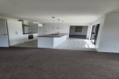 Photo of property in 817 Williams Street, Mahora, Hastings, 4120