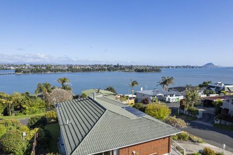 Photo of property in 34 Vine Avenue, Maungatapu, Tauranga, 3112