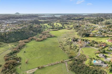 Photo of property in 19 Waioroi Place, Oropi, Tauranga, 3173