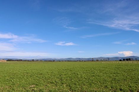 Photo of property in 565 Aranui Road, Kairanga, 4475