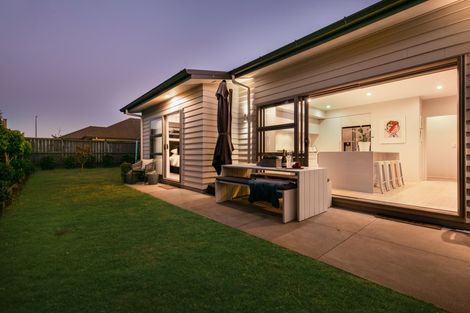 Photo of property in 17 Gelderland Way, Karaka, Papakura, 2113