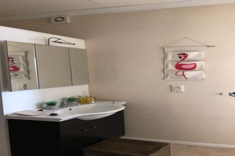 Photo of property in 57 Salisbury Street, Levin, 5510