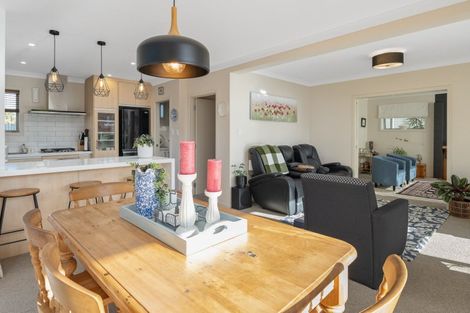 Photo of property in 115 Alfred Street, Blenheim, 7201