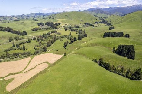 Photo of property in 268 Mikimiki Road, Mikimiki, Masterton, 5881