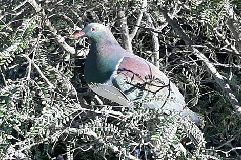 Photo of property in 177 Underhill Road, Tauwharenikau, Featherston, 5773