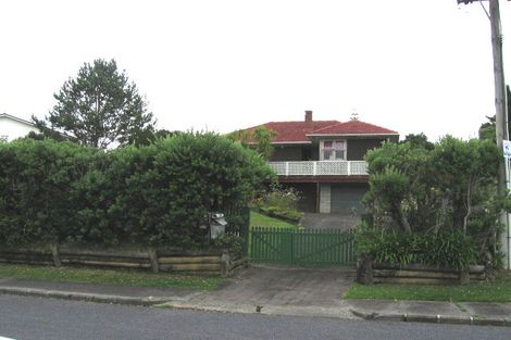 Photo of property in 48 Boyce Avenue, Mount Roskill, Auckland, 1041