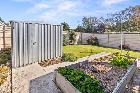 Photo of property in 3 Flinders Street, Kensington, Timaru, 7910