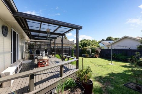 Photo of property in 313 Cambridge Road, Hillcrest, Hamilton, 3216