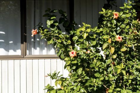 Photo of property in 18 Kinross Place, Mount Maunganui, 3116