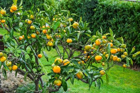 Photo of property in 267 Songer Street, Stoke, Nelson, 7011