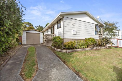 Photo of property in 41 Hibiscus Avenue, Hamilton Lake, Hamilton, 3204