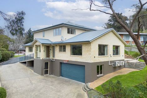 Photo of property in 50 Manchester Street, Bradford, Dunedin, 9011
