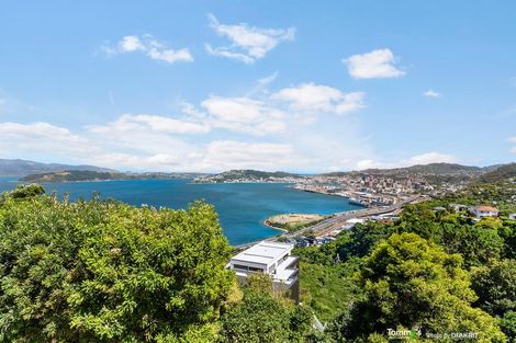 Photo of property in 122 Nicholson Road, Khandallah, Wellington, 6035