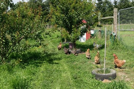 Photo of property in 281 Burnt Hill Road, Oxford, 7495