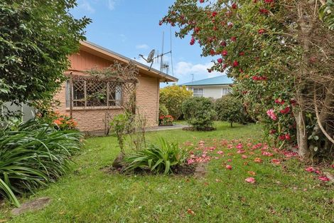 Photo of property in 59 Kauika Road West, Avenues, Whangarei, 0110