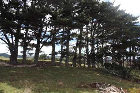 Photo of property in 225 Te Akau Road, Waingaro, Ngaruawahia, 3793