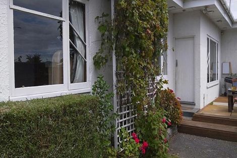 Photo of property in 87 Guy Avenue, Takaro, Palmerston North, 4410