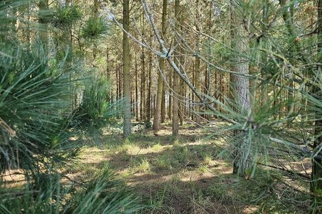 Photo of property in 577 Pesters Road, West Eyreton, Rangiora, 7475