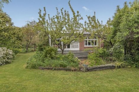 Photo of property in 39a Bank Street, Amberley, 7410