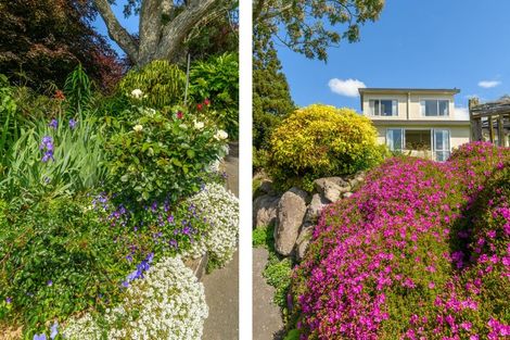 Photo of property in 20 Panorama Drive, Welcome Bay, Tauranga, 3175